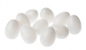 Kunststoff-Eier / Plastik-Eier  (ohne Hals) weiss